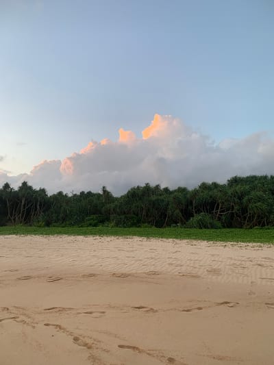 The image depicts a serene beach scene in Habaraduwa, Sri Lanka, at what appears to be dusk or dawn. The foreground is dominated by a sandy beach with visible footprints etched into the light-colored sand. The sand exhibits subtle ripple patterns. Behind the beach, a dense line of green vegetation, likely coastal scrub or trees, forms a distinct border. Above the vegetation, a dramatic sky unfolds. Large, puffy clouds are illuminated by the setting or rising sun, casting warm, golden-pink hues on their upper surfaces, while the undersides are darker, suggesting shadows and depth. The upper portion of the sky is a soft, pale blue. There are no people visible in the frame. The overall impression is one of natural beauty and tranquility.