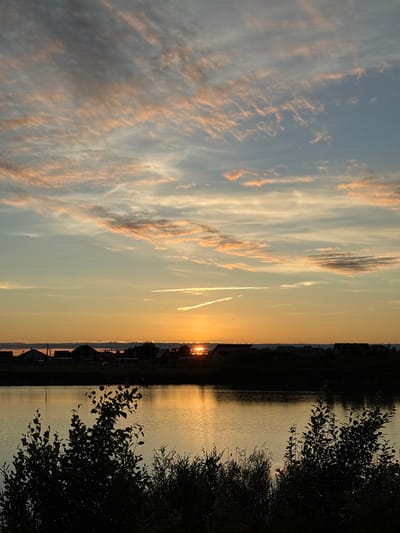 The image depicts a sunset over a body of water, likely a lake or river, in Sapunov Bor, Russia. Silhouetted against the warm hues of the setting sun are a collection of houses with dark roofs, suggesting a rural or semi-rural residential area. In the foreground, the dark silhouettes of leafy trees and vegetation frame the scene, with their branches reaching towards the water. The water itself reflects the golden and orange tones of the sky, creating a shimmering surface. The sky above is a gradient of colors, transitioning from a bright orange near the horizon to soft blues and grays higher up, with scattered clouds tinged with pink and peach. There are no people or discernible actions depicted in the image. The overall atmosphere is serene and tranquil, capturing the end of a day in a natural setting.