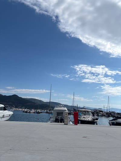 This is a medium-shot, outdoor, eye-level photograph of a harbor in Nea Iraklitsa, Greece. The foreground features a concrete pier with a red fuel pump station visible to the right of a white boat. Beyond the pier, several boats of various sizes are docked in the blue water. In the background, a range of green, tree-covered mountains forms a backdrop against a clear blue sky dotted with white clouds. The lighting suggests a sunny day.