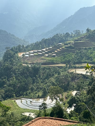 This image presents a sweeping elevated view of verdant, mountainous terrain featuring extensive rice terraces in Thông Nguyên Commune, Vietnam. The central focus is a series of meticulously carved agricultural terraces cascading down the steep hillsides. Many of these terraces are filled with water, reflecting the sky and appearing luminous amidst the dense greenery.

The scene is dominated by a lush, green canopy of trees covering the non-cultivated parts of the mountains. In the distant background, multiple layers of hazy blue mountains stretch into the horizon, conveying a vast and expansive landscape. The clear sky and bright, even illumination suggest the photograph was taken during daytime, likely late morning or early afternoon, under favorable weather conditions.

While no people are visible, the elaborate structure of the rice paddies clearly indicates human agricultural activity and a deep connection to the land. A brown, textured bank or wall is partially visible on the far right, suggesting the vantage point of the photographer is from an elevated position or a nearby cultivated area. There is no discernible text within the image. The overall impression is one of natural beauty, the grandeur of the landscape, and the impressive scale of human adaptation to mountainous environments for farming.