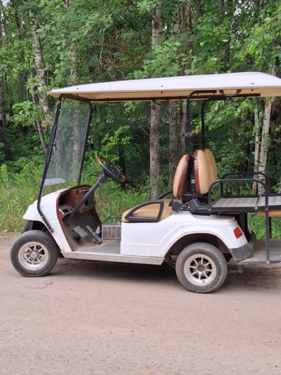 A white and tan golf cart is parked on a dirt road next to a wooded area. The golf cart has a white roof and a tan interior with two seats. The front seat is visible, and the back seat appears to be a bench seat. The golf cart has black accents, including a windshield frame, a steering wheel, and a roll bar. The wheels are silver with a multi-spoke design. A red taillight is visible on the back of the golf cart.

The background consists of lush green trees with some bare branches visible. The ground is a dusty, light brown dirt road. The lighting suggests it is daytime, with soft shadows indicating an overcast or shaded environment. The scene appears to be in a natural setting, possibly a golf course or a park. There are no people visible in the image.

The image is oriented vertically, with the golf cart's top extending towards the left side of the frame. The overall impression is one of stillness and a quiet outdoor environment. The location context of Balashikha, Russia, does not provide any specific visual cues within the image itself.