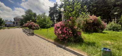 In Yessentukskaya, Russia, a paved walkway with a geometric pattern leads past a row of weathered wooden benches. Lush green grass borders the walkway, dotted with vibrant pink flowering bushes and mature trees under a cloudy sky. A modern building with dark siding and a metal roof is visible in the background, adjacent to other structures. A black car is parked in front of one of the buildings, and a green trash receptacle with a blue liner stands near the edge of the grass.