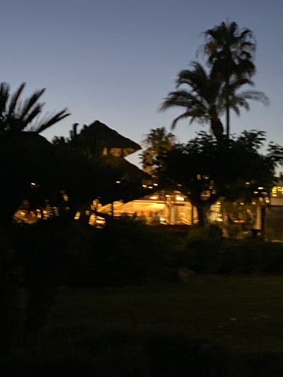This is a blurred, low-light photograph of a building with a thatched roof, likely a restaurant or resort, at dusk. Palm trees and other foliage are silhouetted against a pale blue sky. String lights are visible, illuminating the exterior and interior of the building, where indistinct figures can be seen. The overall impression is one of a tropical or Mediterranean setting. This scene is located in Estepona, Spain, likely along the New Golden Mile, a stretch of coastline known for its luxury hotels and restaurants.