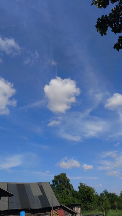 The image depicts a clear, bright blue sky with scattered white clouds, some wispy and others more substantial. In the upper right corner, the dark green leaves of a tree are visible, encroaching on the sky. Below the sky, the upper portion of a rustic building with a dark, multi-panelled roof is prominent in the lower left. The roof appears to be covered in various shades of grey and black material, possibly tarps or shingles, with visible seams and some wear. To the right of this building, a dense line of green trees forms a backdrop, with a taller, fuller tree standing out amongst them. The lower right of the image shows a glimpse of a wooden fence and more trees. A bright blue object, possibly a barrel or container, is partially visible near the bottom left of the frame, partially obscured by the roof. The overall scene suggests an outdoor environment, likely a rural or semi-rural setting in the Доктаравіцкі сельскі Савет, Belarus. There are no people or animals visible in the image.
