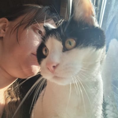 This image is a close-up, outdoor, eye-level photograph of a person and a cat. The person, whose face is partially visible on the left, has dark hair and is looking towards the right. The cat, predominantly in the center and right of the frame, is a black and white domestic short-hair with green eyes and a pink nose. The cat is positioned in front of a person, suggesting an interaction or shared space. The background appears to be a window with a light blue mesh screen, and sunlight is casting shadows and highlights on the subjects, indicating it is daytime. The setting does not provide specific geographical markers for Dunnae-myeon, South Korea.