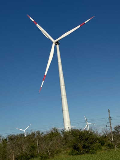A full shot captures a bright, sunny day with a clear blue sky and a vast expanse of green grass and trees in the foreground. In the midground, a dense collection of trees and vegetation creates a natural barrier, behind which stand several wind turbines.
Dominating the scene is a colossal, white wind turbine with three prominent blades, each tipped with alternating red and white markings. The turbine is positioned slightly to the right of the frame's center. To the left and further back, another, smaller wind turbine is visible, also white with red and white tipped blades. To the right, a utility pole with wires running across the frame stands beside a smaller wind turbine. The overall atmosphere is one of rural tranquility and renewable energy infrastructure.