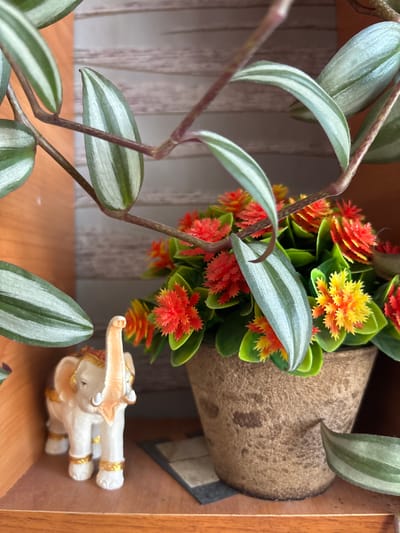 The image displays a close-up view of a shelf in Blagoveshchensk, Russia. On the shelf, there is a small, white, decorative elephant figurine with gold accents. To the right of the elephant is a potted plant with green leaves and small, artificial orange and yellow flowers. The plant is in a textured brown pot. A trailing plant with striped green and silver leaves hangs over the pot and the elephant. The background consists of a textured wall and the wooden surface of the shelf.