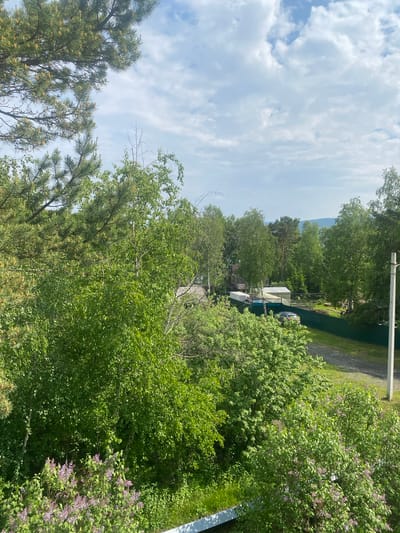 The image depicts a rural scene in Taltsy, Russia, likely during daytime given the bright sunlight filtering through the trees. The weather appears to be clear with scattered clouds. The scene is dominated by lush green vegetation, including dense trees and bushes, with some purple flowering bushes visible on the right. In the background, there are hints of structures, possibly houses or sheds, and a fence. A body of water, perhaps a river or lake, is visible in the distance, with a few boats docked. The overall impression is one of a tranquil, natural setting. There are no people visible in the image, nor any discernible text.