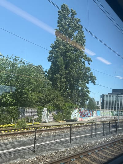 The image depicts an outdoor scene, likely from the perspective of a moving vehicle such as a train. The foreground shows train tracks with ballast. Beyond the tracks is a fence, and behind that, a graffiti-covered wall. Several trees and bushes are visible, with a prominent, tall tree on the left side of the frame. In the background, buildings can be seen, including a modern, multi-story structure. The sky is blue with some faint white streaks. The overall impression is an urban or suburban landscape with elements of nature and man-made structures. Based on the graffiti visible, the specific location is the area near the train station in Eindhoven, Netherlands. The graffiti includes the phrase "HOKS AKSE DV BM", which is associated with the Eindhoven graffiti scene.