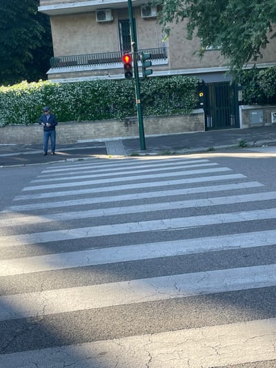 The image shows a crosswalk in Rome, Italy, at the coordinates 41.878 latitude and 12.488 longitude. The crosswalk is empty, except for one man walking across it. He is wearing a blue shirt and blue jeans. The man is facing the left side of the image and is looking down at his phone. There is a traffic light on the left side of the image, which is red. There is a building on the right side of the image, with a green gate. There is a small, flowering bush in the middle of the image, in front of the building. The ground in the image is a mix of asphalt and concrete. The crosswalk has white stripes on a dark grey surface. The surface is cracked in some places. The sidewalk is lined with trees on the left side of the image. The overall scene is peaceful and empty. There are no cars in the image.