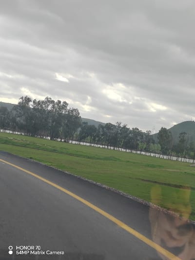 A photograph captures a muted landscape beneath a cloudy sky. A yellow line accents an asphalt road at the image's base. Beyond the road, a green field stretches to a line of trees near a body of water. A hill is seen far in the background. The lighting suggests an overcast day. The Honor 70 camera watermark appears in the lower-left corner of the image. There is a human reflection at the bottom-right of the image.