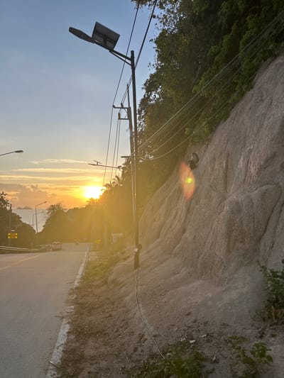 A road curves uphill beside a rocky embankment under a bright sunset sky. The sun, a brilliant yellow orb, is partially obscured by palm trees and shines with intense light, creating a lens flare effect in the image. Power lines crisscross the scene, supported by utility poles. Two monkeys are perched on the rocky slope. A car and a motorcycle are visible driving on the road in the distance. The embankment is covered in loose soil and scattered debris.