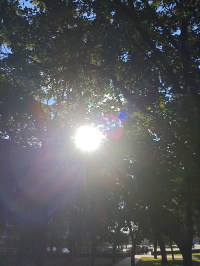 The image captures a sun-drenched scene with bright sunlight filtering through the dense green foliage of trees. The sun, positioned in the upper left quadrant, emits strong rays and lens flare, creating a vibrant glow that obscures some details. The foreground shows a paved walkway and grassy areas with several trees lining what appears to be a street or park. In the background, there are glimpses of buildings and vehicles, suggesting an urban environment. The sky is visible in patches through the leaves, appearing clear and blue. The overall atmosphere is bright and natural, characteristic of a sunny day. While the specific location within Kremenchuk, Ukraine, cannot be precisely identified from the visual information alone, the presence of trees, walkways, buildings, and vehicles is consistent with a public outdoor space in a city.