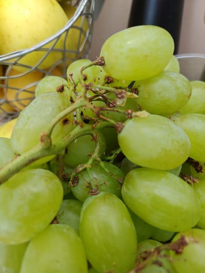 A close-up shot captures a bunch of vibrant green grapes, some plump and round, others slightly elongated, with a few showing slight imperfections and brown stem fragments. The grapes are clustered together on their stems, creating a textured and organic arrangement. In the background, a blurred metallic basket holds a bright yellow fruit, possibly an apple or pear, adding a pop of contrasting color. A dark, cylindrical object is also visible in the background, partially obscuring a clear plastic container. The overall impression is one of freshness and abundance, with the soft lighting suggesting an indoor setting, perhaps a kitchen or market stall, given the presence of fruit and containers. There is no visible text in the image. The focus is entirely on the grapes, highlighting their natural beauty and inviting appearance.