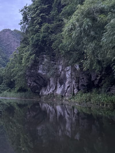 A natural scene unfolds in Nam Hoa Lư Ward, Vietnam, featuring a tranquil body of water in the foreground and a dramatic limestone karst cliff face covered in lush vegetation in the background. The water, dark and reflective, mirrors the imposing cliff and the overhanging trees, creating an almost ethereal effect. Reeds and other water plants line the edge of the water, merging into the dense foliage that cascades down the cliff. Thin wires are visible stretched across the cliff face, hinting at human presence or past activity. The sky above is overcast, casting a subdued light on the landscape. The overall impression is one of serene, untamed natural beauty.
