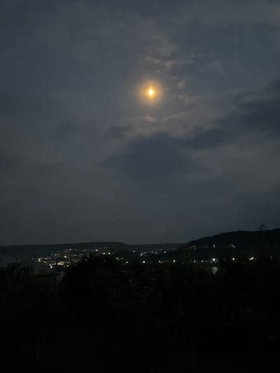 The image depicts a nighttime aerial view of a suburban area in Berezhany, Ukraine. A bright full moon is visible in the upper center of the frame, partially obscured by dark clouds. The moon casts a soft glow on the cloudy sky. Below the sky, a darkened landscape is visible, characterized by rolling hills and a cluster of lights indicating a settlement or town. The foreground is dominated by the silhouettes of trees and foliage, rendered almost entirely black against the dimly lit background. The lights in the town suggest residential or commercial activity. The overall impression is one of a serene, moonlit night over a quiet Ukrainian town.