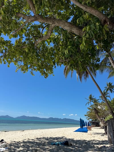 The image depicts a tropical beach scene on a clear, sunny day. The foreground is dominated by the lush green foliage of a tree, with its branches and leaves filling the left side of the frame. In the mid-ground and background, a sandy beach stretches out, lined with palm trees. A few blue beach umbrellas and chairs are set up on the sand, suggesting a relaxing environment. The ocean is visible beyond the beach, with calm, turquoise waters meeting a distant, hazy mountain range. The sky is a vibrant, cloudless blue. The image appears to be taken at eye level, looking upwards towards the sky and across the beach. The lighting suggests it is daytime, likely morning or afternoon, given the bright sunshine casting shadows on the sand. There are no visible people or text in the image. The overall impression is one of tranquility and a tropical getaway.