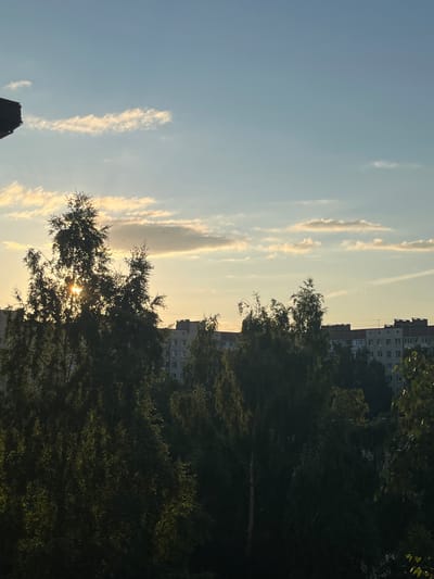 The image depicts a cityscape in Kolpino, Russia, during what appears to be sunset. The orientation of the photo is vertical. The sky is a soft blue, transitioning to a pale yellow or golden hue near the horizon. Wispy, elongated clouds are scattered across the sky, catching the warm light of the setting sun.
In the foreground, silhouetted against the sky, are the dense canopies of trees. Sunlight filters through the leaves of a prominent tree in the center, creating a dappled effect and highlighting the branches.
Behind the trees, several multi-story apartment buildings are visible. These buildings are typical of Soviet-era architecture, with numerous windows and balconies. The buildings are a muted gray or beige color and appear to be situated in a residential area. One building on the far left is partially visible and has a darker, more angular structure, possibly a different type of building.
The overall mood of the image is peaceful and serene, evoking the quiet end of a day. The setting sun casts a warm glow over the scene, softening the urban landscape. There is no visible text in the image.