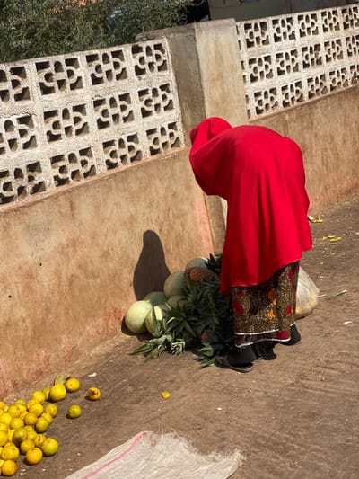 The scene depicts an individual tending to a fruit display on an unpaved surface in Samaru, Nigeria. A person, viewed from the back, is bending forward, clad in a vivid red head and upper body covering, revealing a patterned skirt with floral or abstract motifs in green, red, and yellow, dark socks, and dark open-toed sandals. They are positioned beside a small mound of produce comprising several light green watermelons and a cluster of green-leafed pineapples. To the left, a collection of numerous small, round, yellow-orange citrus fruits is scattered on the ground, with some exhibiting minor discoloration. A white, woven sack or mat is partially visible on the ground in the bottom-left foreground. The background features a textured, light brown wall, topped by a weathered light grey concrete block fence with repeating decorative cutouts. Green foliage is visible above the fence. The area is brightly illuminated by direct sunlight, casting a distinct shadow of the person onto the wall to the left of the produce. A crumpled, light-colored bag is visible behind the individual's right leg.
