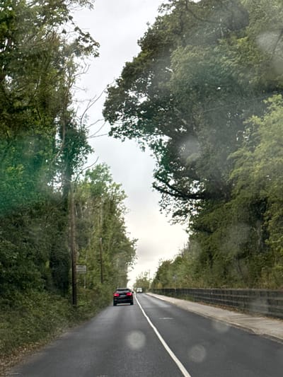 A dark-colored SUV is driving on a wet, paved road lined with dense green foliage and trees. The sky is overcast. The road has a white line down the center and a concrete sidewalk on the right. A wooden fence runs alongside the sidewalk. A sign is visible on a pole to the left of the road, amidst the trees. This scene is likely located on a rural road near Gorey, Ireland.
