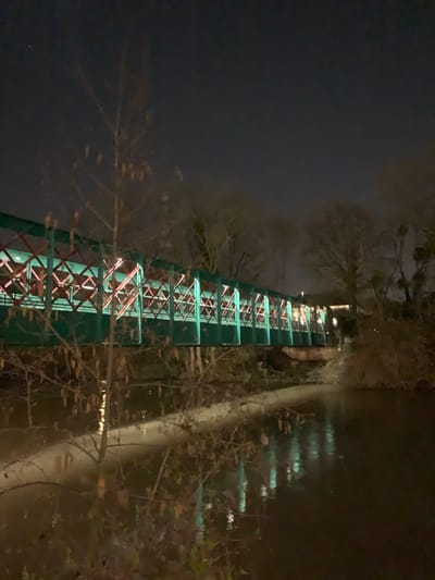 The scene depicts a nighttime view of a bridge crossing a dark body of water, likely a river or canal, in Issy-les-Moulineaux, France. The bridge features a prominent dark green metal framework with a visible interior lattice of reddish-pink cross-bracing. It is illuminated internally by a series of cool-toned lights, casting a distinct light green glow that reflects on the water's surface directly beneath. The water is dark and still, mirroring the bridge's light and the bare branches of foreground trees. Deciduous trees with sparse foliage line the banks and extend into the background behind the bridge, silhouetted against the dark night sky, where faint stars are visible. A slender tree with thin branches and minimal foliage is present in the left foreground, partially overhanging the water. No individuals or specific actions are discernible.