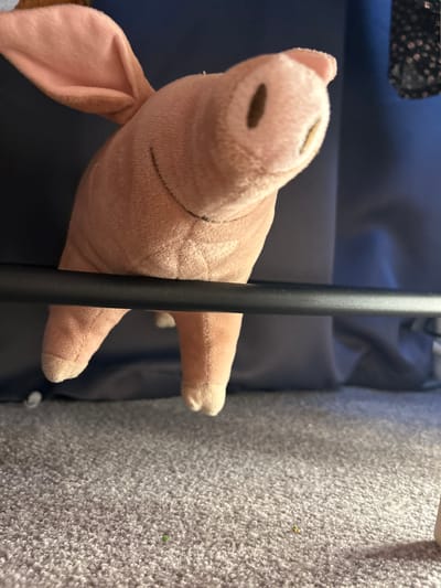 A pink stuffed pig lies horizontally across a dark blue surface. A black pole is positioned in the foreground, partially obscuring the pig's body. The background to the right consists of a light gray textured surface. A dark object with a floral pattern is visible in the upper left corner. The location is unknown.