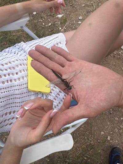 Two individuals are present in the image. One person, whose arm and hand are visible on the left, has French manicured nails and is wearing a white lace garment. The second person, whose hand is in the center of the frame, is holding a dragonfly. A yellow smartphone is positioned next to the dragonfly. The environment appears to be outdoors, with dry ground, grass, and gravel visible. The individuals are seated on white chairs. The image is taken from a top-down perspective.
