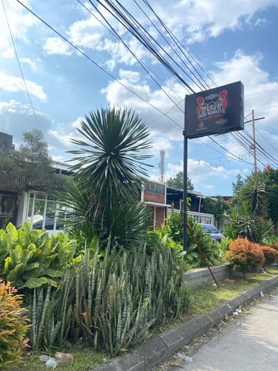 The image captures a street scene in Margaasih, Indonesia, located at coordinates -6.954 latitude and 107.562 longitude. The scene features a large, green, spiky-leaved plant in the foreground, growing next to a concrete curb, and a sidewalk that slopes down to a paved street. The sidewalk is edged with a thick bed of leafy green plants and shrubs. A tall pole with a black sign stands on the opposite side of the street. The sign reads "Iron Monkeys BBQ Club" and depicts a cartoon image of three monkeys wearing hats. Power lines run across the scene. The sky is mostly clear, with scattered white clouds. The street is lined with green trees on both sides, with additional greenery in the background, including the roof of a nearby building.