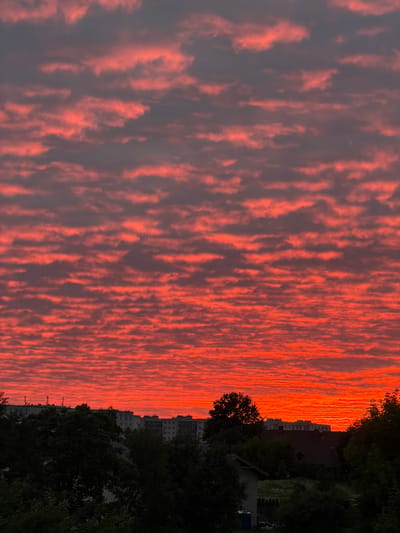 The image depicts a sunset over a residential area in Dreiliņi, Latvia. The sky is filled with clouds that are illuminated by the setting sun, creating a vibrant display of orange and red hues. Below the sky, a silhouetted treeline and the rooftops of buildings are visible. In the background, several multi-story apartment buildings with visible windows and balconies are present, some of which have antennas on their roofs. The foreground is dominated by dark foliage and trees, with glimpses of smaller structures, including a portion of a house and a blue bin. The overall scene is tranquil, characterized by the dramatic sky and the quiet urban landscape.