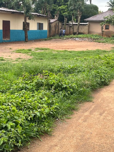 The image depicts an outdoor scene in Takau, Nigeria. In the foreground, a dirt path curves to the right, bordered by dense, green foliage and tall grass. In the mid-ground, two individuals stand near a pile of scattered debris, with one wearing a light blue shirt and dark pants, and the other in a darker shirt and pants. Behind them are several buildings, including a light yellow and blue structure with a metal door and open windows, and another beige building with a corrugated metal roof and a small window. The environment is characterized by trees and vegetation, suggesting a possibly rural or semi-urban setting.