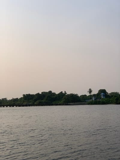 A serene landscape featuring calm water on the right. Dense green foliage lines the water's edge, creating a border between the water and a pale sky on the left. A single palm tree and a small house are visible among the trees. The scene evokes a sense of tranquility.