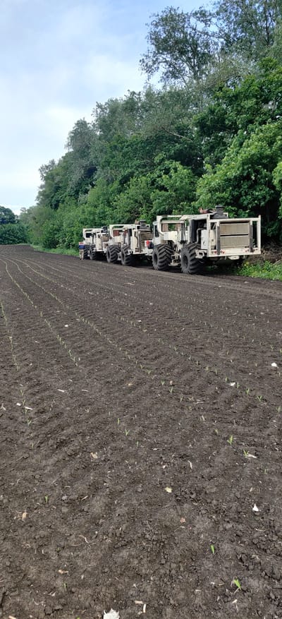 The image shows a field in Kovalivs'ke, Ukraine, with young plants arranged in rows. Adjacent to the field, four large, off-white agricultural vehicles are parked in a line next to a tree line. The sky is partially visible, showing a pale blue color with some clouds. The soil in the field is dark and tilled, suggesting recent planting.