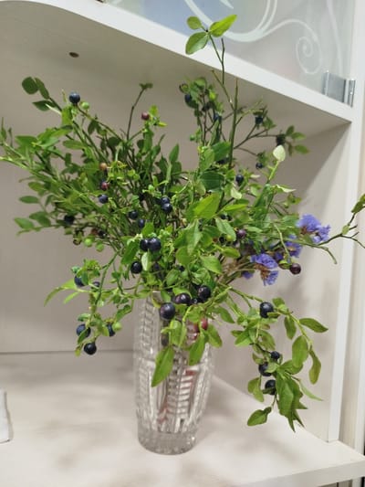 A bouquet of wild blueberry branches with ripe berries and a few small purple flowers is displayed in a clear, cut-glass vase. The vase rests on a light-colored, horizontal surface, likely a shelf or table, in a room with white walls and shelving visible in the background. The lighting is soft and even, suggesting an indoor setting. The scene appears to be a still life arrangement.