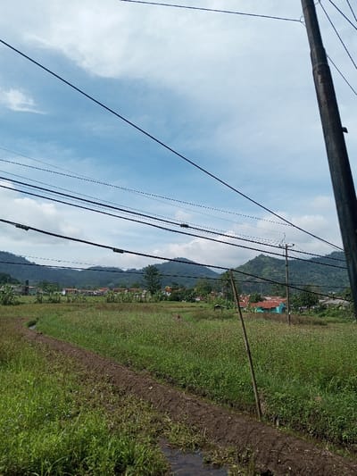 The scene captures a rural landscape in Kandenuwara, Sri Lanka. The foreground features a narrow, elevated dirt path running diagonally from the lower left, separating a small water-filled ditch on its left from an overgrown field of green vegetation on its right. The midground consists of an expansive green field with tall, dense plant growth, interspersed with some drier, brownish patches. A slender, light-colored wooden pole leans slightly to the right within this field. In the background, a cluster of residential structures with varying roof colors, including terracotta and a distinct blue-green, are visible amidst trees at the base of prominent green, forested mountains. The sky above is light blue with scattered white cumulus clouds. Multiple black utility wires traverse the upper and middle portions of the frame, originating from a dark, partially visible utility pole on the far right. No people or animals are discernible.