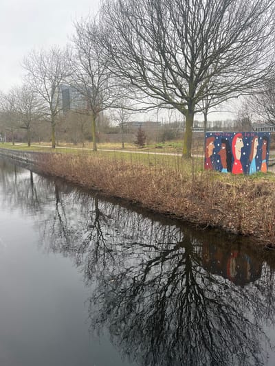 The image depicts a canal scene in Roubaix, France, under an overcast sky. A dark body of water occupies the left foreground and midground, exhibiting reflections of bare deciduous trees and a painted concrete block. The immediate bank to the right of the water features dense, dormant brown vegetation. Beyond this vegetation lies a dirt path, followed by a grassy area and a line of bare trees with intricate branch structures.

To the right of a large, centrally located tree, a rectangular concrete block is positioned near the path. This block is painted with stylized head-and-shoulder depictions of at least five human figures, characterized by diverse skin tones and hair colors, set against a dark blue background with white specks. Visible text on the block includes "MARY SIEN" and "2014".

In the distant background, beyond the treeline, a multi-story glass building and other urban structures are discernible under the uniform light gray sky. There are no individuals or active interactions visible in the frame.