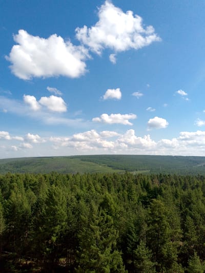 This image depicts a vast, undulating landscape covered by a dense coniferous forest. The trees are predominantly evergreen, with varying shades of green suggesting a mix of species and perhaps some areas of regeneration. In the distance, the forest extends to the horizon, forming a green carpet over rolling hills. The sky above is a vibrant blue, dotted with scattered white cumulus clouds that are casting soft shadows. The overall impression is one of natural beauty and vastness. There are no people, buildings, or urban elements visible in the image, making it difficult to ascertain a specific location within the city of Neryungri, Russia, without additional context. The scene is tranquil and natural, evoking a sense of wilderness.