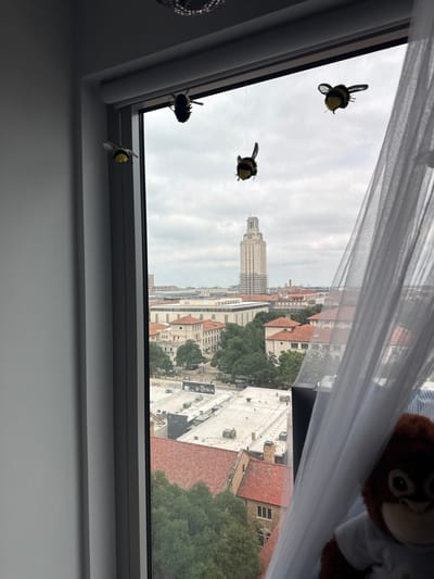 The image depicts a view from a window looking out onto a cityscape, identifiable as Austin, Texas, USA, due to the presence of the University of Texas Tower prominently in the center of the frame. The tower is surrounded by other buildings and greenery, suggesting a dense urban environment.
Inside the window, there are several decorative elements. Five fake bee decorations are hanging within the frame on the left side of the window. On the right side, a partially visible plush animal, possibly a monkey, is visible, partially obscured by a white translucent curtain. The window itself has a gray frame, and the interior walls are painted a neutral color. The lighting suggests overcast weather conditions, as the sky is a uniform gray.