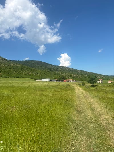 The image depicts a landscape in Goritsa, Bulgaria. A green, grassy field occupies the foreground and right half of the image, with a distinct line separating it from a denser, hill-like terrain covered in trees to the left. Small buildings and houses with reddish roofs are clustered along the edge where the field meets the wooded area. Above the wooded area, a blue sky filled with scattered white clouds is visible. The overall orientation of the image is rotated counterclockwise.