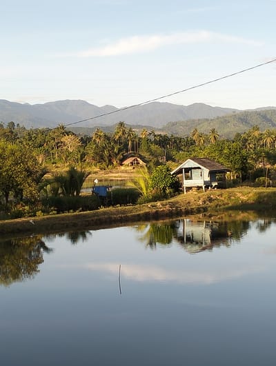 The photograph depicts a serene landscape near Teungkluet, Indonesia. A tranquil body of water dominates the foreground, reflecting the surrounding scenery. On the near bank sits a small, light blue structure with a dark roof, possibly a hut or shelter. Further back, another structure with a thatched roof can be seen amidst lush vegetation, including various trees and palms. In the distance, a mountain range stretches across the horizon under a clear sky. Overhead power lines cut across the upper portion of the image. A pole is protruding from the lake. A white figure is also visible standing by a blue structure near the far bank.