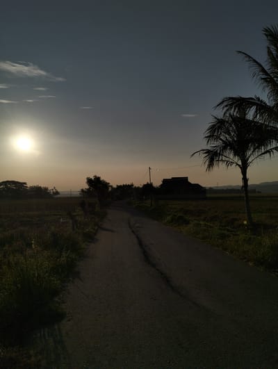 The image depicts a rural landscape at sunset or sunrise. A paved road curves through the scene, flanked by grassy fields and vegetation. In the distance, a building with a dark roof is visible, possibly a house or a small structure. A palm tree stands prominently on the right side of the road, silhouetted against the sky. The sun is low on the horizon, casting a warm glow and creating long shadows. The sky is a gradient of blues and oranges, with a few wispy clouds. The overall atmosphere is serene and tranquil. The specific location of Uleegajah, Indonesia, cannot be definitively confirmed from the visual elements alone, as the image lacks any identifying landmarks or signs.