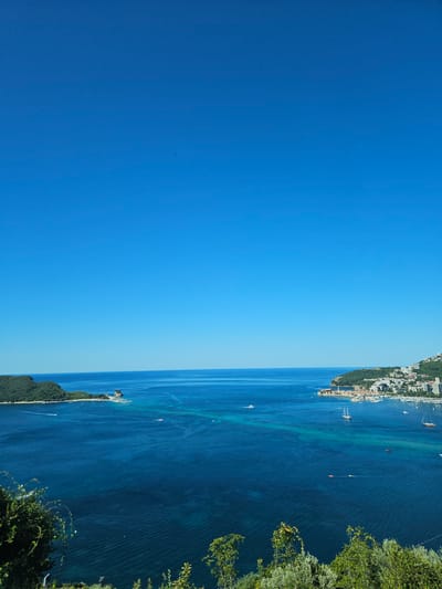 The image shows a panoramic view of a coastal city and its surrounding bay. The sky is a clear, vibrant blue, with a few subtle clouds barely visible. The sea is a deep, rich blue, transitioning to turquoise in shallower areas. In the distance, a lush green island with a rocky outcrop stands in the water, and a small town with red-tiled roofs is nestled on a hillside overlooking a harbor filled with sailboats and smaller vessels. The coastline is dotted with buildings and trees. In the foreground, the scene is framed by dense, green foliage. The overall impression is one of a sunny, idyllic coastal landscape.