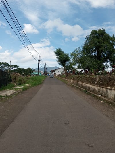 The image depicts a paved, two-lane road in Ariyalai, Sri Lanka, viewed from a low angle looking down the length of the road. The asphalt surface is dark grey and shows minor wear, extending into the distant horizon. No lane markings are present.
On the left side of the road, a narrow dirt shoulder transitions to a concrete path in the foreground, followed by an overgrown area of green grass and weeds. Beyond this, a series of wooden utility poles with multiple black electrical wires extend diagonally across the upper left sky. In the mid-ground, various structures, including houses and a dark, possibly fenced area, are visible, partially obscured by trees.
On the right side of the road, a dirt shoulder abuts a concrete drainage canal running parallel to the road. Beyond the canal, an elevated earth bank is heavily vegetated with green trees, shrubs, and red-leafed plants. A large, mature tree with dense green foliage dominates the right mid-ground.
In the distance, a light-colored (possibly silver or white) minivan or small truck is positioned on the road, facing away from the viewer. Further beyond the vehicle, several buildings of varying colors are visible, set against a backdrop of distant hills or mountains. The sky is clear blue with scattered white cumulus clouds. No individuals are present in the scene. The overall environment suggests a residential or semi-rural setting.