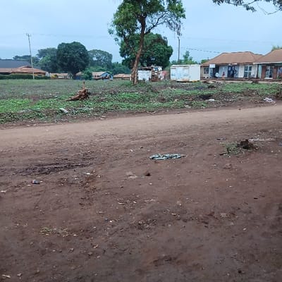 This image depicts a semi-urban scene along a dirt road in Moshi, Tanzania, under an overcast sky. The foreground features a reddish-brown dirt road with visible tire tracks and scattered debris, including small pieces of litter and a crumpled green plastic item. To the left of the road, an undeveloped field with sparse green vegetation contains a fallen tree trunk. A prominent large tree with green foliage stands in the midground, behind which are several smaller, less defined structures, some appearing makeshift. Further right in the midground, two white portable toilet units are positioned next to a row of single-story commercial buildings with reddish-brown roofs. Several individuals are visible near these shops in the background, some appearing to be seated. A power pole with overhead lines is also present. On the far left, a building with a lighter-colored wall and a terracotta roof is partially visible. The background is characterized by dense green trees and foliage.