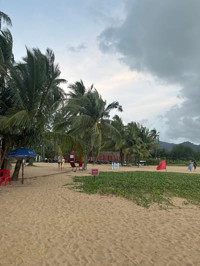 The image depicts a beach scene in Ban Bang Niang, Thailand. In the foreground, the sandy beach is textured with footprints. A patch of lush green vegetation lines the edge of the sand, and a small red flag is planted in the sand within this vegetation. Further back, several palm trees with dense fronds dominate the left and central portions of the frame, casting shadows on the sand.
To the left, a blue umbrella with white text stands over a red plastic chair. A couple, a man in a light-colored shirt and a woman in a yellow dress, are walking away from the camera on the sandy path. Behind them, rows of red lounge chairs and umbrellas are visible, suggesting a resort or public beach area. A red, curved sculpture or seating element is positioned between the path and the vegetation. In the background, more palm trees extend towards a forested hillside under a cloudy sky. On the right side of the frame, two individuals, a woman in a blue dress and a man in a dark shirt, are walking away from the camera. The sky is overcast with diffused light.