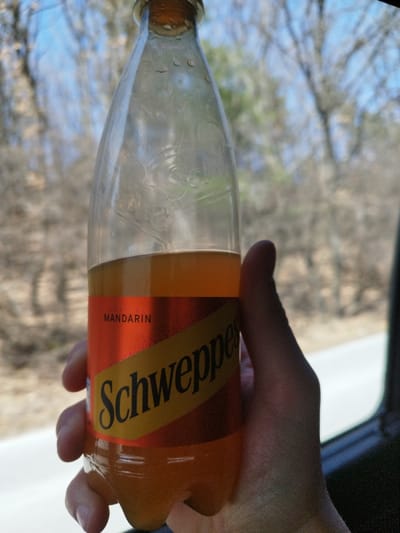 The scene depicts a human hand holding a partially consumed clear plastic bottle of Schweppes Mandarin soda. The bottle, approximately two-thirds full of an amber-colored liquid, exhibits condensation on its upper half and is sealed with a light brown cap. The label, red and yellow, prominently displays "Schweppes" in black font and "MANDARIN" above it. The background, viewed through a window, is out of focus, revealing bare trees and branches against a blue sky with some clouds, and a light-colored surface resembling a road or shoulder in the lower right. This event is situated in Ichera, Bulgaria.