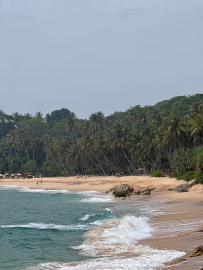 A coastal scene showcases a sandy beach lined with tall palm trees. Lush green vegetation covers the land bordering the beach. Waves crash onto the shore, creating white foam and turbulent water. Several people are scattered along the beach. The sky is overcast, contributing to the subdued lighting of the scene.