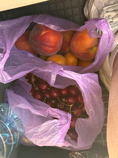 The image shows two purple plastic bags filled with fruit, likely placed on a dark, textured surface. The top bag contains several peaches and possibly apricots, characterized by their round shape and reddish-orange coloring. One peach in the foreground is prominent, showing its characteristic cleft. The bottom bag is filled with dark red cherries, with their stems visible. To the left, a clear plastic water bottle is partially visible. In the upper right corner, the sole of a white athletic shoe is visible, suggesting a person is nearby. The overall lighting is somewhat dim, with a focus on the fruit within the bags. The location in the city of Razlog, Bulgaria, is not visually indicated in the image.