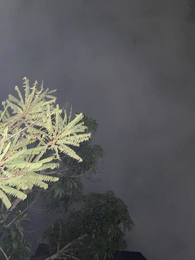A close-up, low-angle outdoor shot captures the upper branches and foliage of a starfruit tree against a dark, foggy sky. The leaves of the tree, illuminated by an unseen light source, are a vibrant green. The sky itself is a uniform, hazy gray, obscuring any details of the cityscape or horizon. The bottom of the image shows glimpses of darker foliage from other trees and a dark, angular shape that could be a roofline, possibly indicating a residential area. The overall impression is one of a humid, overcast night in Banjarmasin, Indonesia, with the dense fog muffling the environment.