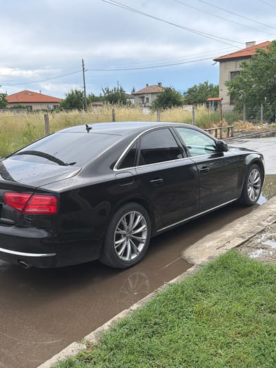 A black Audi sedan, likely an A8 model, is prominently featured in a daytime scene, parked on a wet, paved surface. Water droplets are visible on the car's body and puddles are on the ground, indicating it has either recently been washed or it just rained. The car is angled, showcasing its side and rear, with distinctive silver multi-spoke wheels and chrome trim. The Audi four-ring logo is clearly visible on the wheel center caps.

To the right of the car, there's a strip of lush green grass and a concrete curb. In the background, a residential area is visible, characterized by houses with traditional red-tiled roofs. Green trees and overgrown vegetation are scattered throughout the landscape, with a chain-link fence separating properties. Utility poles and power lines extend across the partly cloudy sky. The setting appears to be a quiet, possibly suburban or rural street, consistent with the provided location context of Dobrovnitsa, Bulgaria. No people are present in the image.