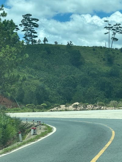 The image shows a winding asphalt road with a yellow dividing line, curving to the right. The road is bordered by a grassy embankment on the left, with several white and red marker posts, one of which displays "H5 18". Beyond the embankment, a lush green hillside covered in dense foliage rises steeply. Several tall, slender pine trees are visible on the crest of the hill, silhouetted against a cloudy blue sky. The lower slopes of the hill are dotted with smaller trees and shrubs. In the distance, more pine trees stand on the horizon. The scene appears to be a rural or mountainous area. There are no people or vehicles visible in the image.